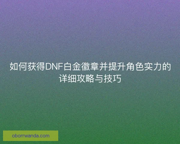 如何获得DNF白金徽章并提升角色实力的详细攻略与技巧